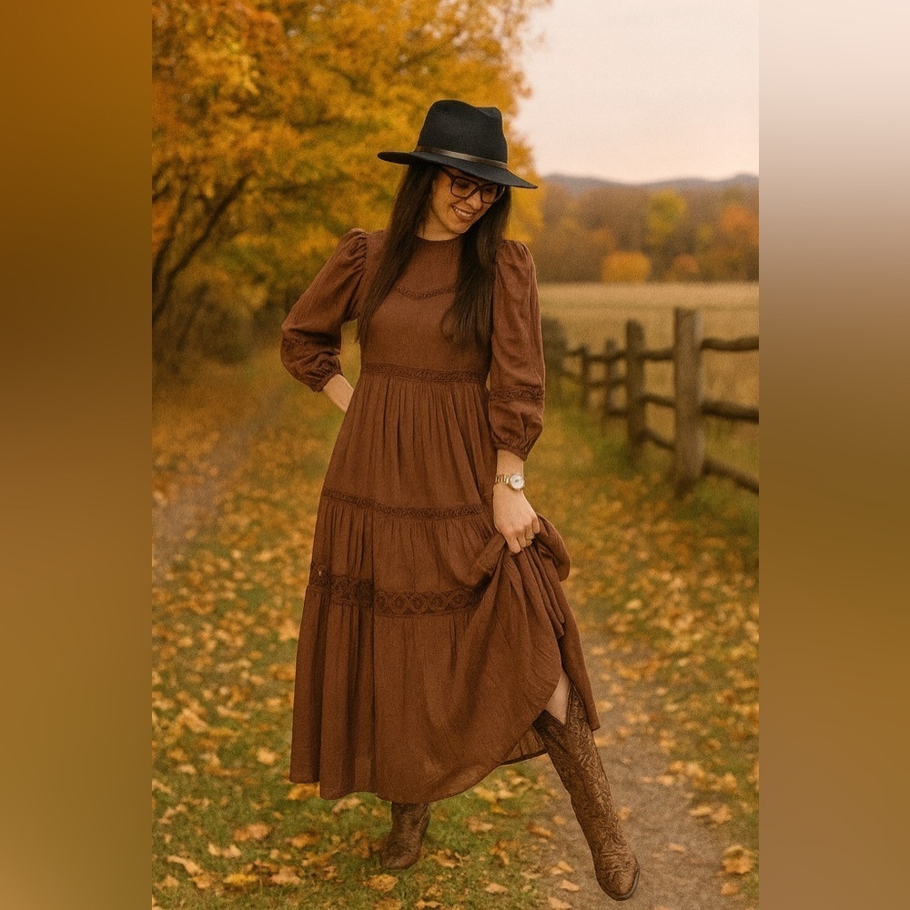 Zara Dark Brown Embroidered Maxi Dress